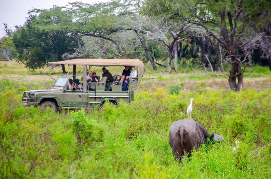 From Zanzibar: Mikumi National Park Guided Safari - A bush lunch at about 12:30