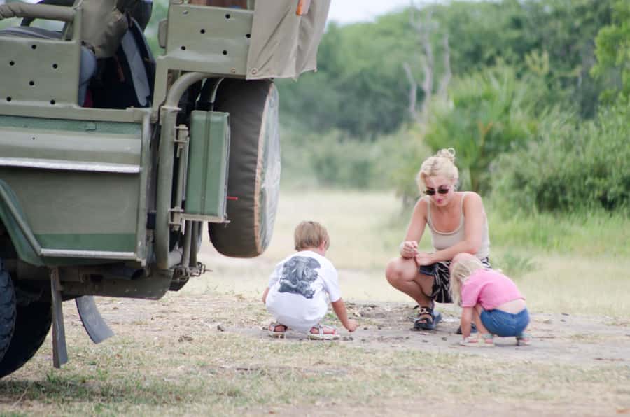 From Zanzibar: Mikumi National Park Guided Safari - Who should book this safari