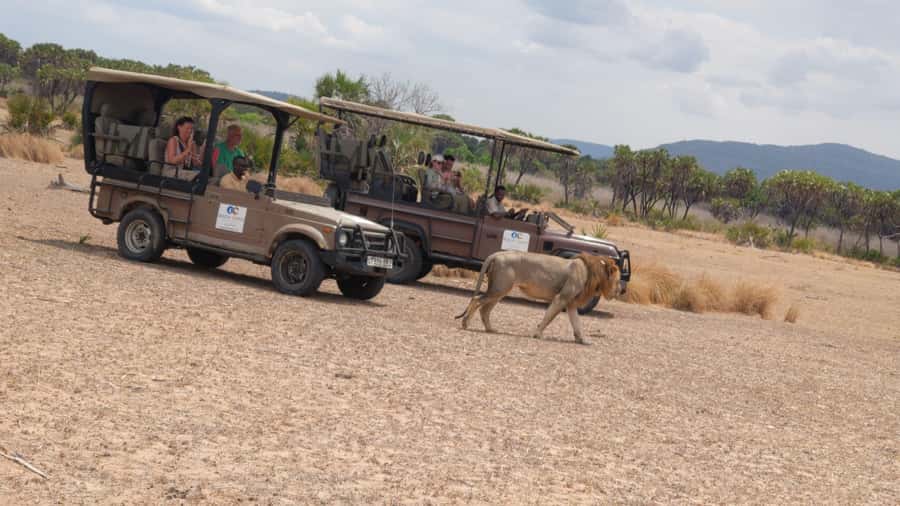From Zanzibar: Mikumi Safari Day Trip with Flights and Meal - Small details that improve the day