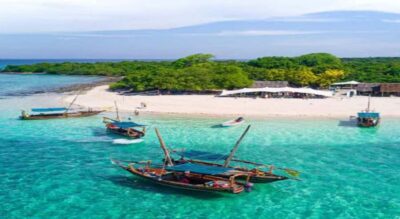 Safari Blue Snorkeling Trip with Lunch