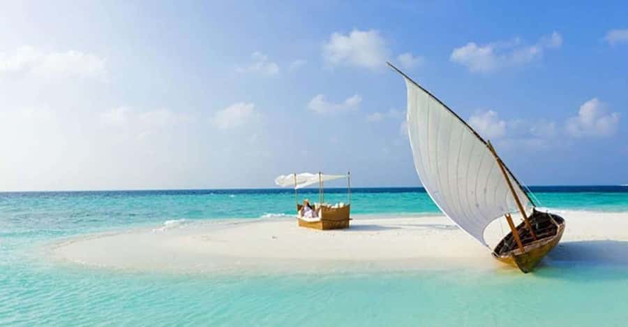 From Zanzibar: Safari Blue Snorkeling Trip with Lunch - Who will enjoy this day most