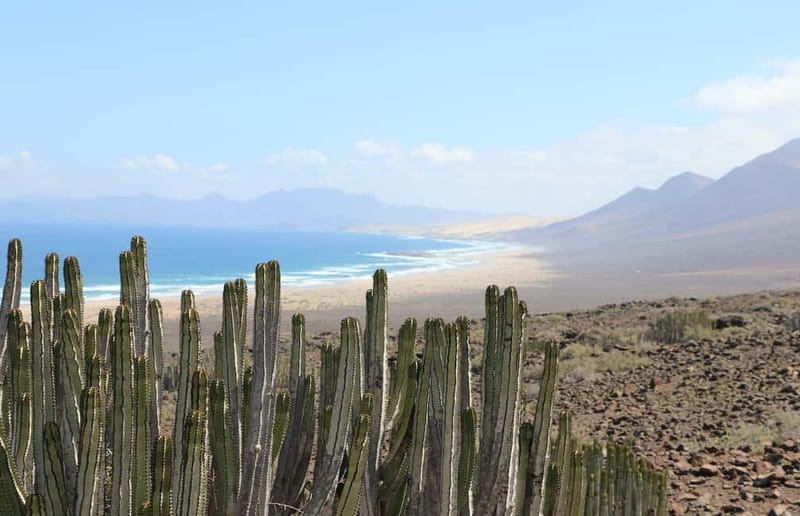 Fuerteventura: Cofete Safari - Key points to know before booking