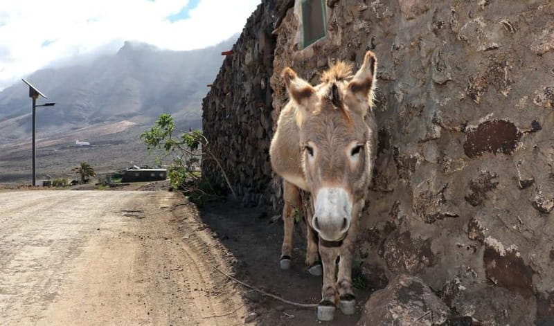 Fuerteventura: Cofete Safari - Mirador de Cofete: the best first look