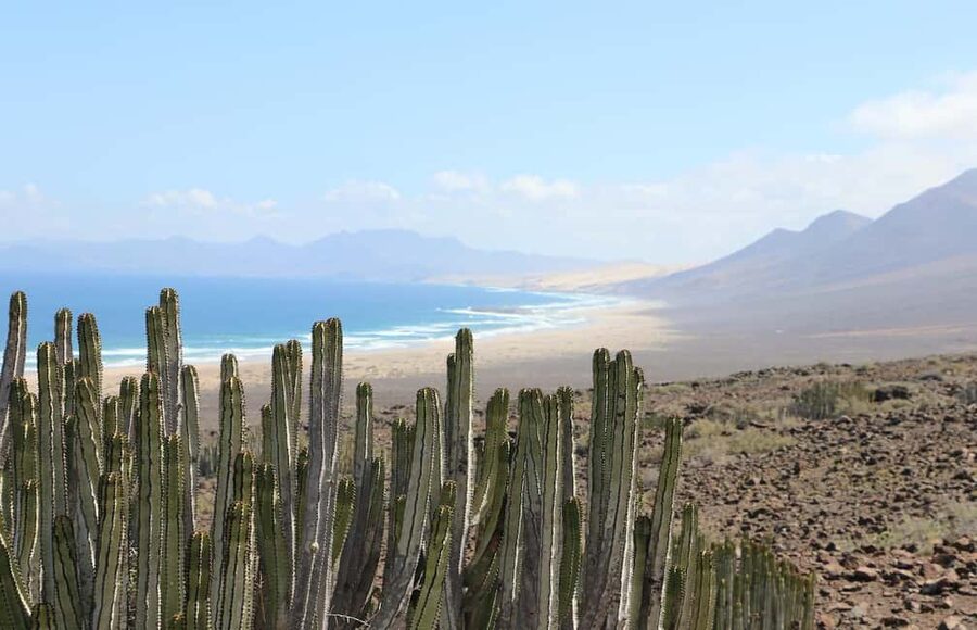Fuerteventura: Jandía Natural Park & Cofete 4x4 Safari - Why Jandía is worth seeing by 4x4