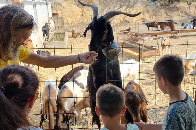 Full Day 4x4 Self-Drive Safari Tour in Crete with BBQ Lunch - BBQ lunch back in the Malia area