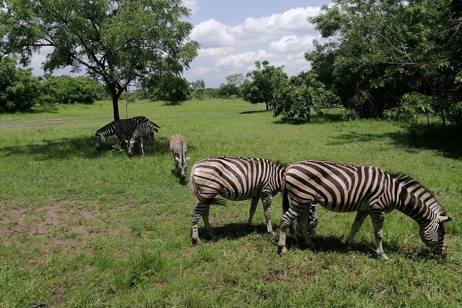 Full-Day Accra Safari and Boat Cruise Private Tour - From Accra streets to Shai Hills