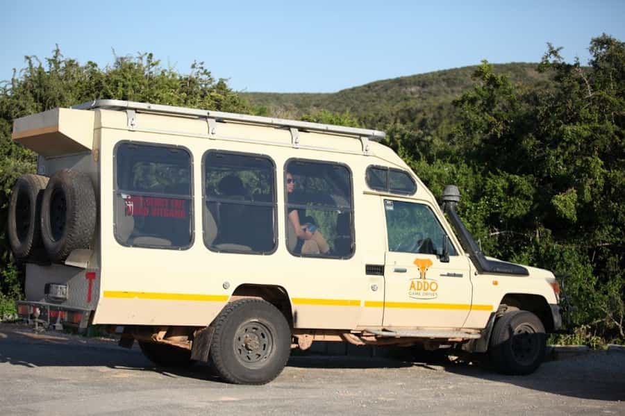 Full-Day All Inclusive Safari with Traditional Braai Lunch - Key points to know before booking