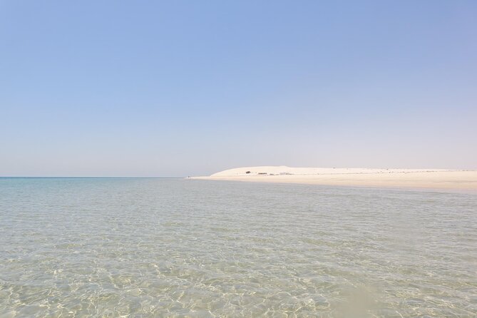 Full Day Desert Safari Doha/dinner included - Dune bashing with an experienced driver