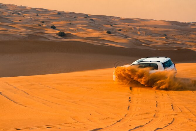 Full-Day Desert Safari with Buffet Dinner || Inland Sea Visit - Key points to know before booking