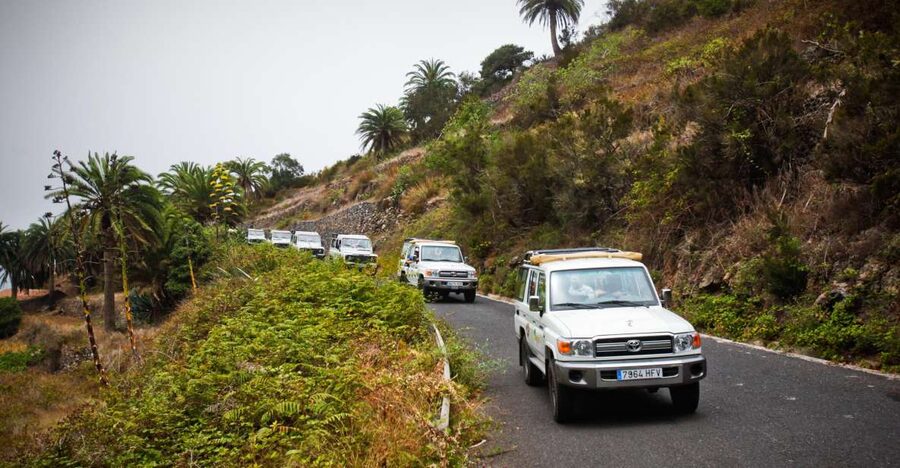 Full-Day Gomera Jeep Safari Excursion from Arona - Key points to know before booking