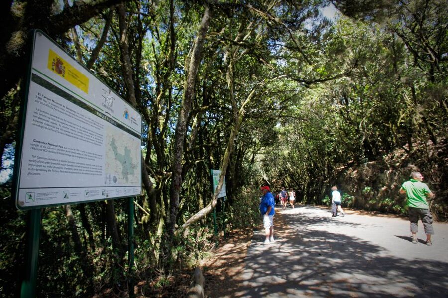 Full-Day Gomera Jeep Safari Excursion from Arona - The morning ferry from Costa Adeje