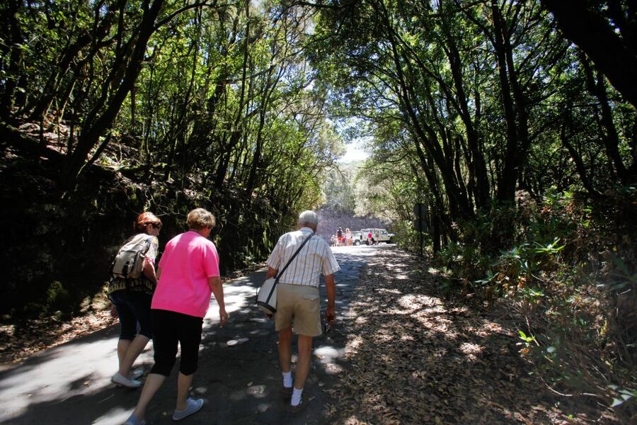 Full-Day Gomera Jeep Safari from Puerto de La Cruz - The guides can shape the whole day