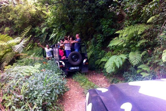 Full Day Jeep Safari East - Pico do Areeiro - Santana - Ponta de são Lourenço - Santana: lunch and traditional Madeira