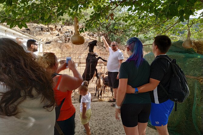 Full-Day Jeep Safari Tour with Cooking Lesson - Pottery in Psychro