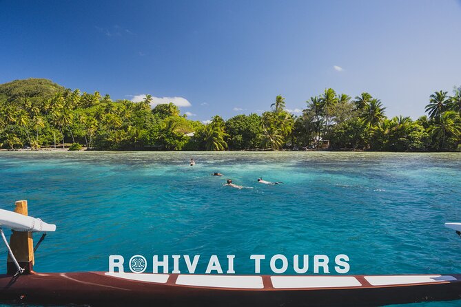 Full-day Lagoon Safari Tour with Lunch in Bora Bora - Shared tour - Stop two: blacktip sharks and friendly stingrays