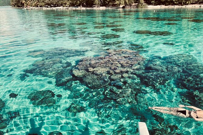 Full-day Lagoon Safari Tour with Lunch in Bora Bora - Shared tour - Stop one: a gentle introduction to Bora Bora’s lagoon