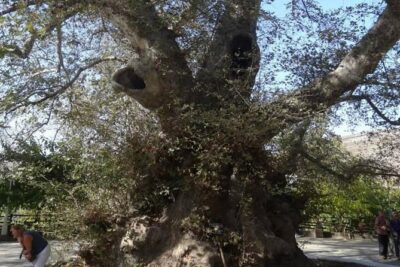 Full-Day Land Rover Safari from Heraklion with Lunch