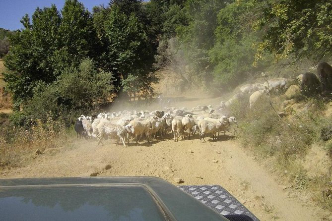 Full-Day Land Rover Safari from Heraklion with Lunch - A three-course lunch at a local tavern