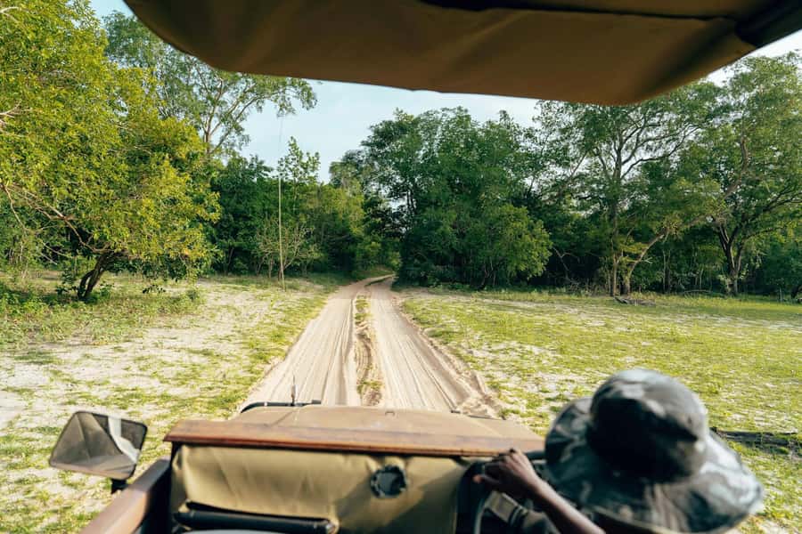 Full-Day Pilanesberg Safari from Sun City - Why Pilanesberg works so well from Sun City