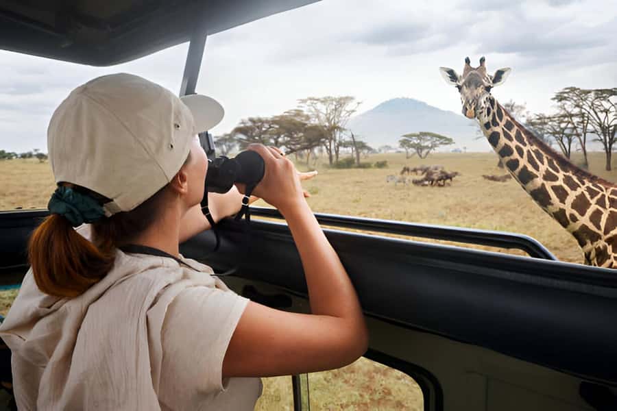Full-Day Pilanesberg Safari from Sun City - Three hours on the morning game drive