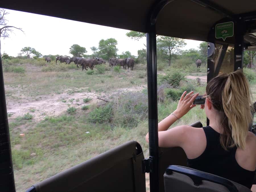 Full-Day Private Big 5 Safari in Kruger National Park - A private vehicle changes the rhythm of the day
