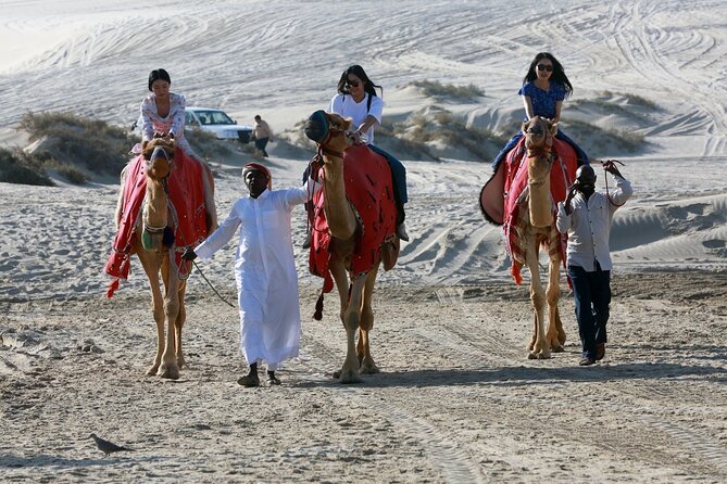 Full-day Qatar desert safari: dune bashing, sandboarding, camels - From Doha pickup to the first sand tracks