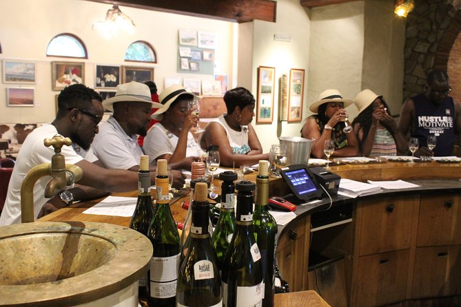 Full-Day Safari Aquila Game Reserve from Cape Town - Paarl, Franschhoek, and the Du Toitskloof route