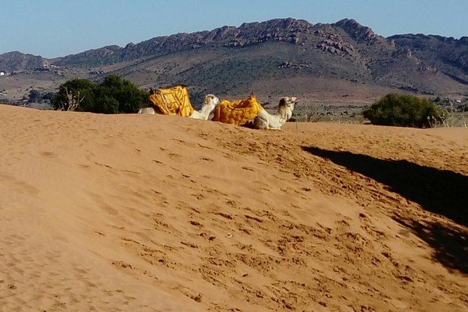 Full-Day Safari Small Desert With Lunch - Youssef Ben Tachfine Dam and the inland view