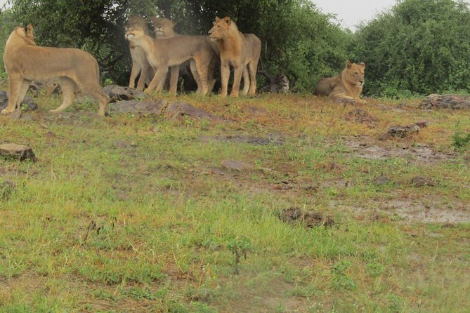 Full Day Safari Tour of Pilanesberg National Park, Open Jeep experience - Entering the reserve in an open safari vehicle