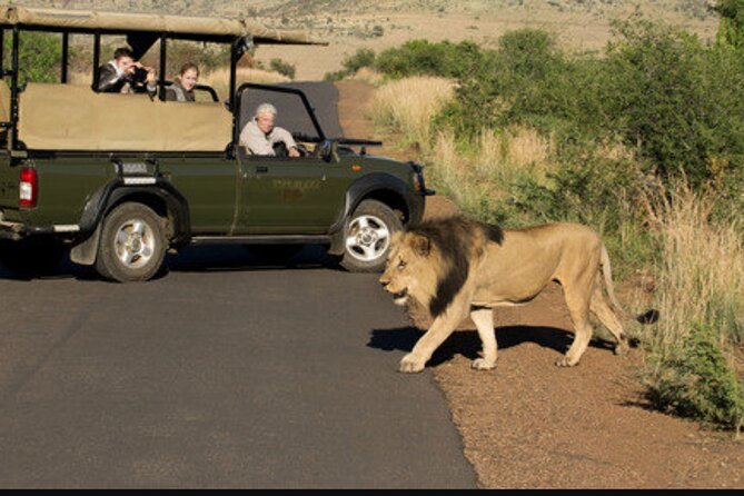 Full Day Safari Tour of Pilanesberg National Park, Open Jeep experience - What the guides add to the day