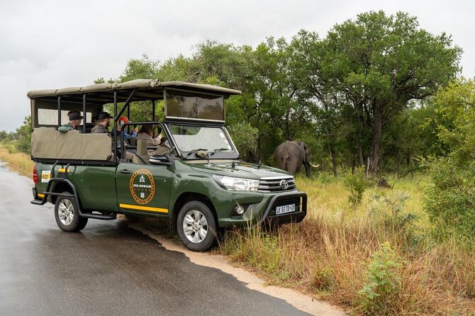 Full-Day Shared Kruger National Park Safari from Hoedspruit - Inside Kruger, the guide sets the pace