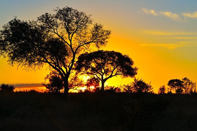Full-Day Shared Kruger National Park Safari from Hoedspruit - Who will get the most from this safari