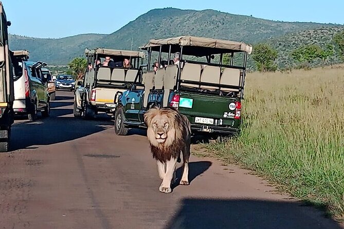 Full-Day Shared Kruger National Park Safari from Hoedspruit - Hoedspruit pickup keeps the morning simple