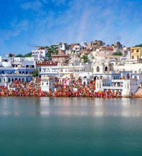 Fullday pushkar tour from jaipur with guid+camel/jeep safari - A long but rewarding road from Jaipur to Pushkar