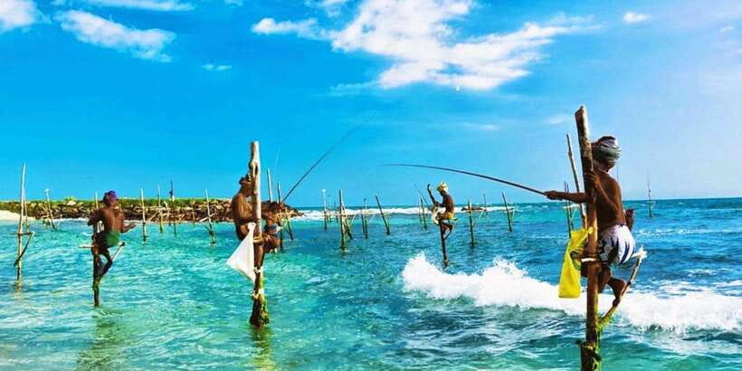 Galle Day Trip - River Safari, Sea Turtle & Stilt Fishermen - Why this day trip works