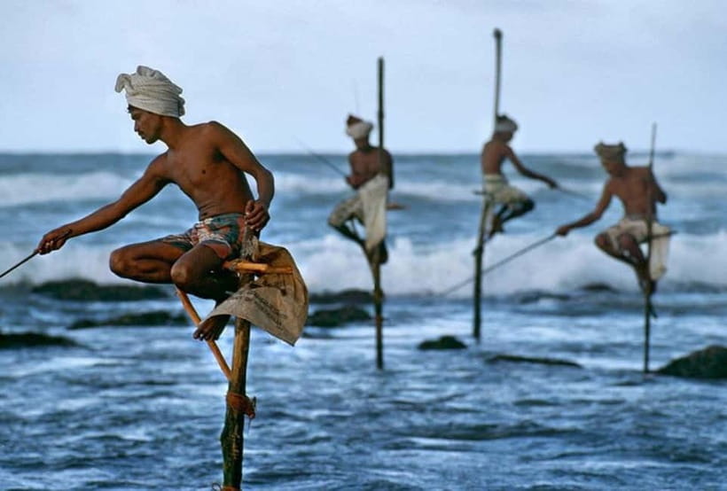 Galle Day Trip - River Safari, Sea Turtle & Stilt Fishermen - The Bentota River safari through mangroves