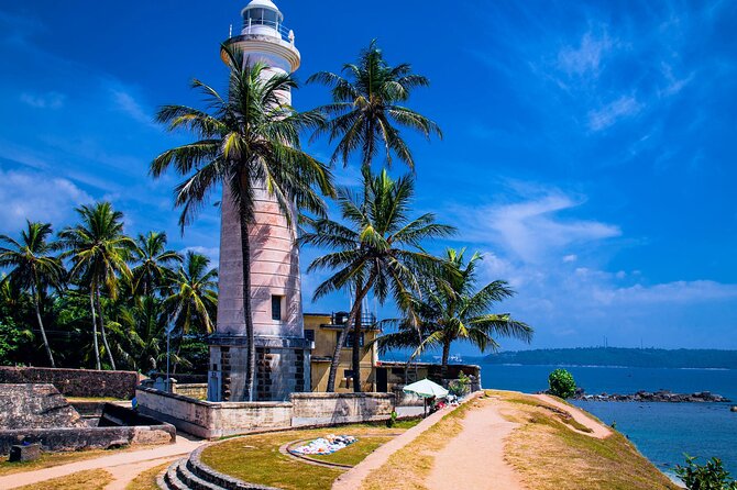 Galle Day Trip with River Safari, Sea Turtle & Stilt Fishermen - Why this day trip works for first-time visitors