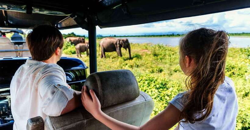 Galle/Mirissa/Hiriketiya: Drop to Ella & Udawalawa Safari - Key points to know before booking