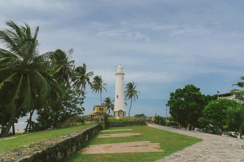 Galle Private Day Tours with Sea Turtles visit & Boat Safari - Turtle conservation with a difficult message