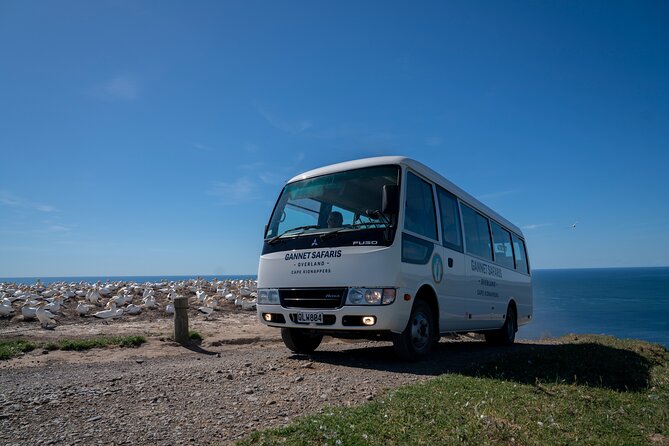 Gannet Safaris Overland tour to Cape Kidnappers Gannet Colony - Cancellation and booking flexibility