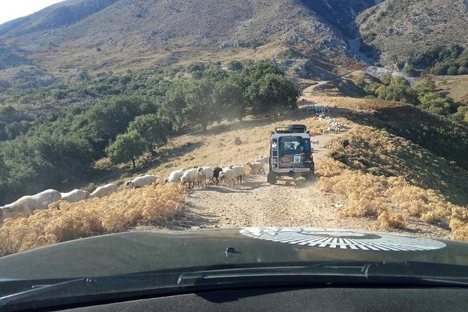 Georgioupolis Safari Off Road Tours Outdoor Activities Land Rover Defender - Apokoronas finishes with olive oil and local production