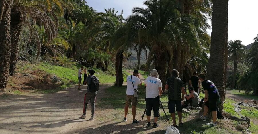 Gran Canaria: Camel Ride at Camel Safari Park - Key points to know before you book