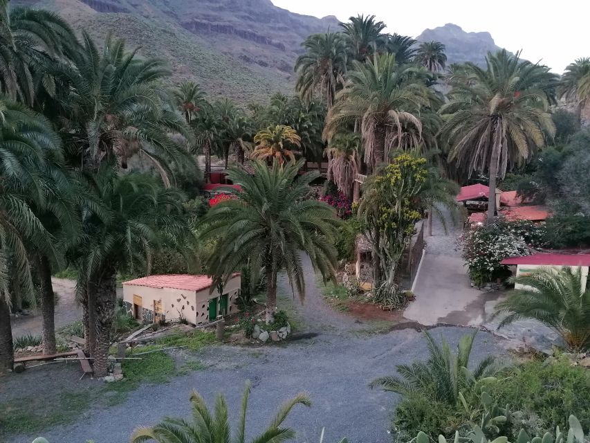 Gran Canaria: Camel Ride at Camel Safari Park - How the price compares with the time you get