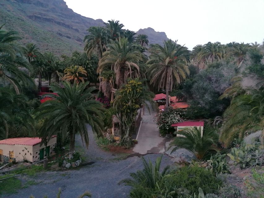 Gran Canaria: Camel Ride at Camel Safari Park - What your 30 minutes on the camel are like