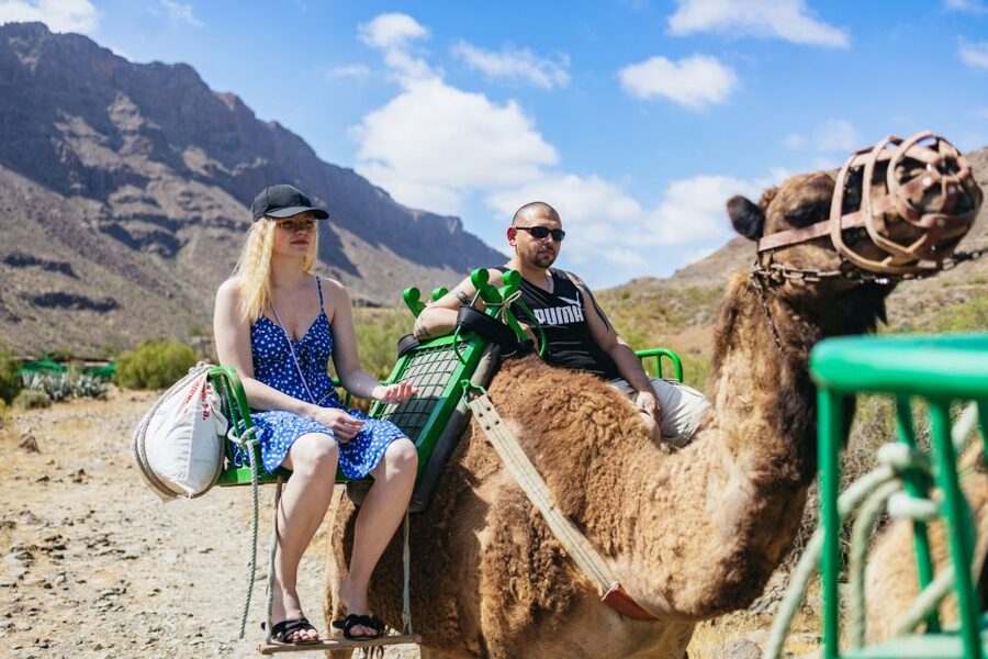 Gran Canaria: Camel Ride Safari w/ Optional Food & Transport - One hour on the camel route