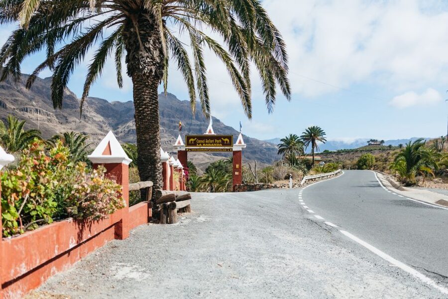 Gran Canaria: Camel Ride Safari w/ Optional Food & Transport - How the $50 price compares