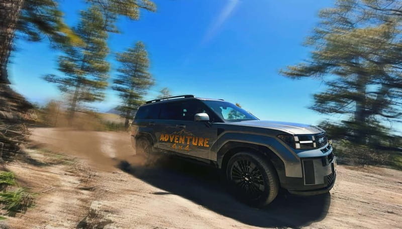 Gran Canaria: Premium Safari 4x4 Tour with Local Guide - Ayacata: a brief stop in the high country