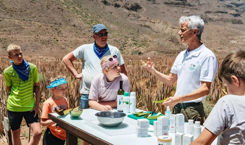 Gran Canaria: Premium Safari 4x4 Tour with Local Guide - Aloe vera in Fataga