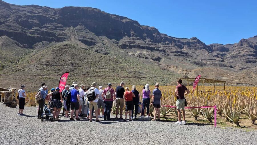 Gran Canaria: Premium Safari 4x4 Tour with Local Guide - Is $75 a fair price?