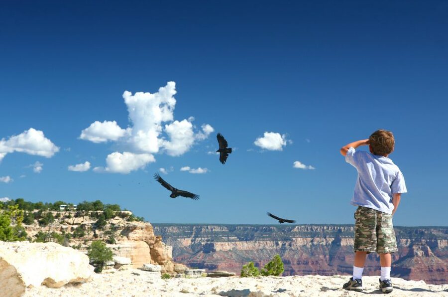 Grand Canyon: Morning Off-Road Safari with Skip the Gate - Starting in Tusayan and taking the faster way in